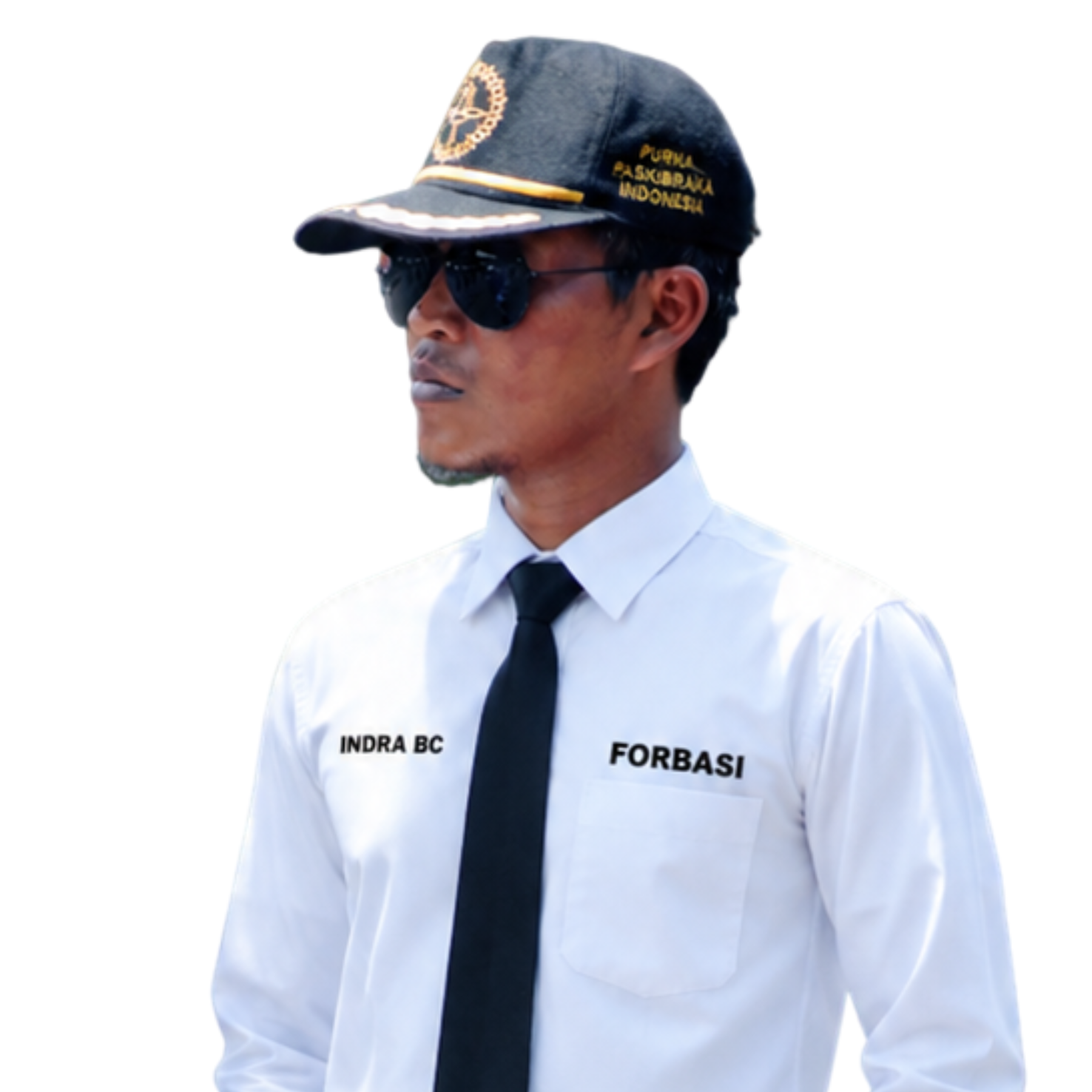 Indra Budi Cahyanto